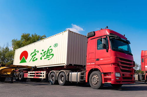 如何經(jīng)營(yíng)蔬菜批發(fā)與道路普通貨物運(yùn)輸業(yè)務(wù)